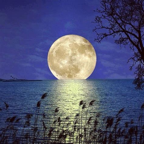 Full Moon Rising Mondfotografie Naturbilder Vollmond