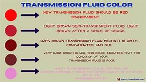 What Color Is Transmission Fluid Rx Mechanic