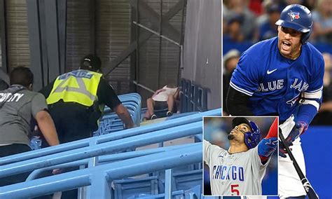 Foul Balls Fans Removed From Blue Jays Stadium For Sex In The Stands