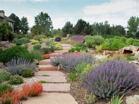 Xeriscaping Sloped Yard