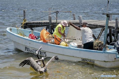 Pescadores En Yucatán México