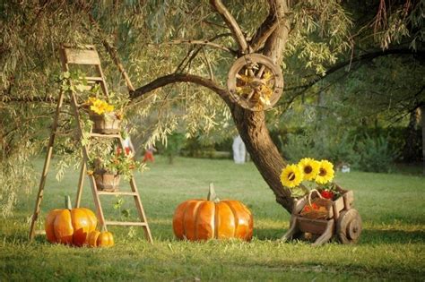 Laeacco Autumn Farm Rural Harvest Seasons Pumpkin Sunflower Tree Scenic