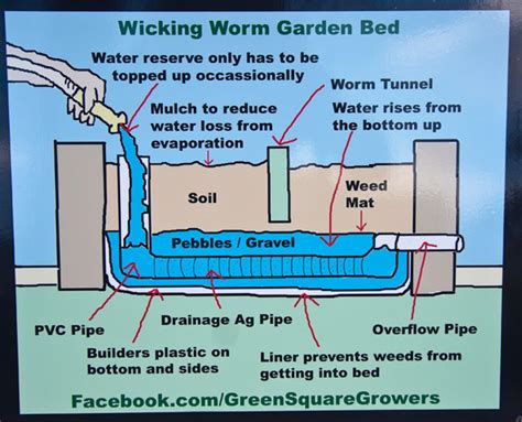She had four big beautiful beds filled with exceptional looking vegetables and i was inspired by the wicking bed concept. Green Square Growers get going at The Tote - PacificEdge