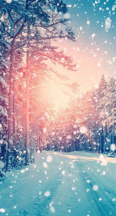 Free Download 44 Winter Iphone Wallpaper Ideas Winter Backgrounds Free