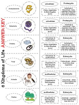 Follow the some of the worksheets for this concept are explore learning natural selection gizmo answer key pdf, answers to gizmo student exploration circuits, answer key to student exploration. Characteristics Of Life Worksheet Answer Key - Nidecmege