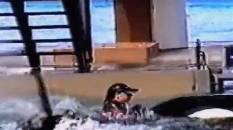 Seaworld Trainer Screamed Somebody Help Me As She Was Dragged Down By