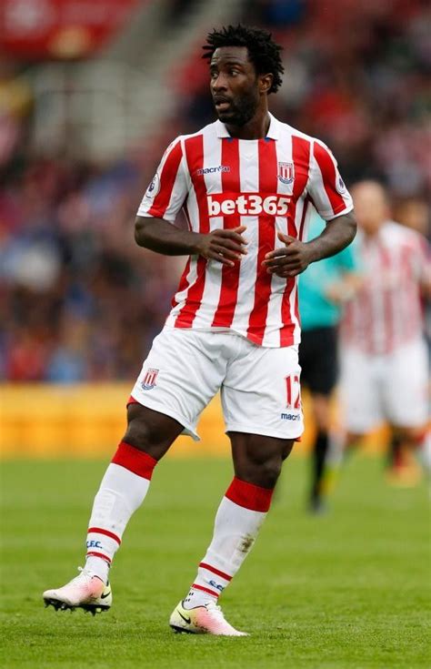 All you need to know about wilfried bony, complete with news, pictures, articles, and videos. Wilfried Bony (con imágenes)
