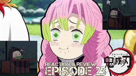 تحدث كارثة عندما تُقتل عائلته وتصبح أخته شيطانة ولكنها لا تزال. Kimetsu no Yaiba | REACTION & REVIEW - Episode 23 - YouTube