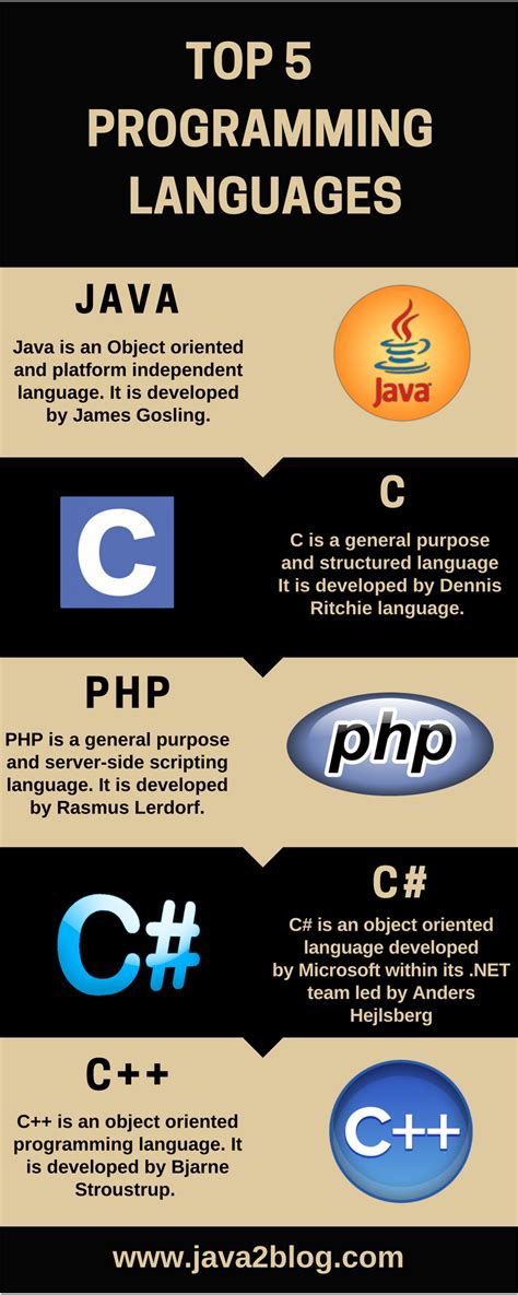This Infographic Provides Information About Top 5 Computer Programming
