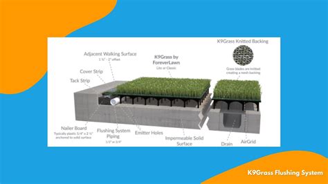 4 Commercial K9 Synthetic Pet Turf Systems For Rooftops And Concrete