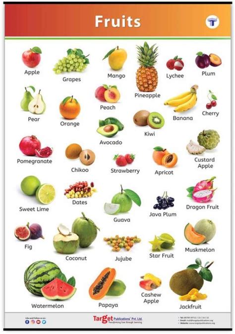 Jumbo All In One Fruits Chart For Kids My First Early Learning