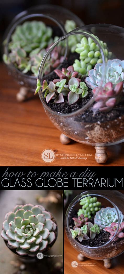 17 Amazing Diy Succulent Crafts That Will Beautify Your Home