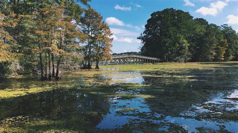 State park and all jasper has to offer by arranging your trip with our jasper online route planner. A picture is worth a thousand mosquitoes @ Martin Dies Jr ...