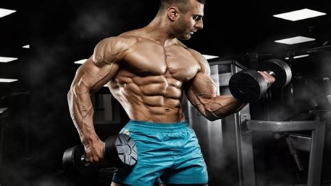 Tren Cycle Guide2023 Trenbolone Steroid Cycle Results And Dosage For