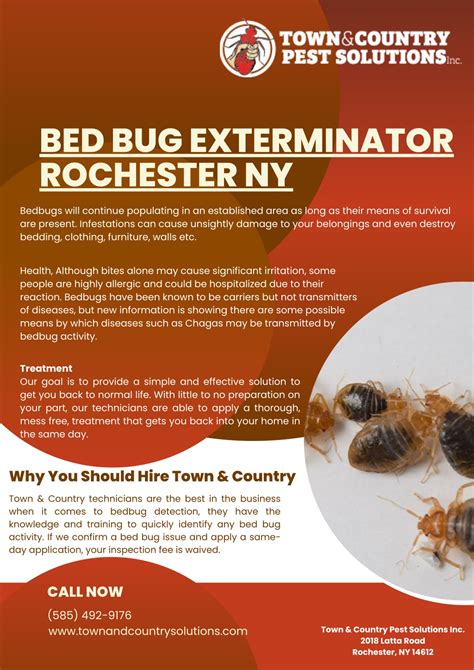 Ppt Bed Bug Exterminator Rochester Ny Powerpoint Presentation Free