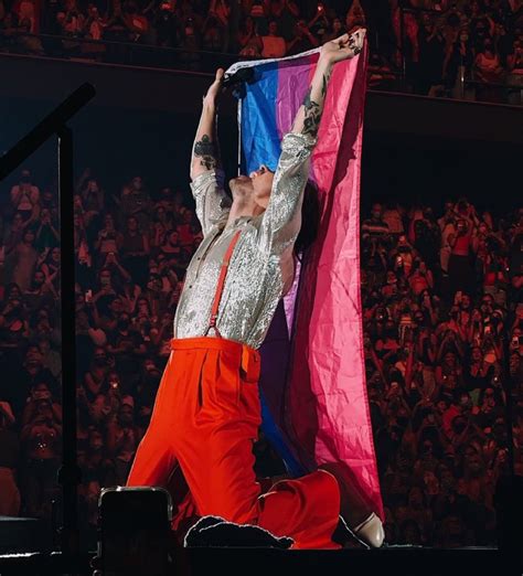 Harry Styles Ondea La Bandera Del Orgullo Bisexual En Pleno Concierto Escandala