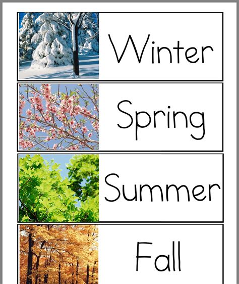 Four Seasons Sorting Activity Free Printable Printable Word Searches
