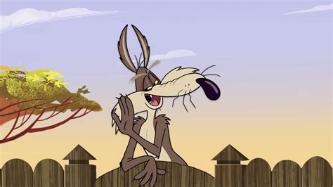 Wile E Coyote Through The Years Looney Tunes Fanon Wiki Fandom
