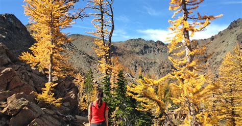 18 Best Larch Hikes In Washington For Seeing Magical Fall Colors 2023