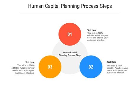 Human Capital Planning Process Steps Ppt Powerpoint Presentation