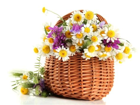 Premium Photo Beautiful Wild Flowers In Basket Isolated On White