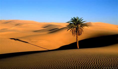 Sahara Desert Wallpapers
