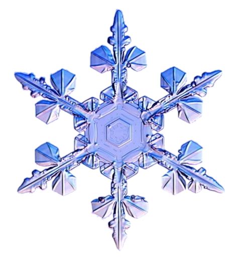 Snowflakes Png Transparent Images Free Download Pngfre