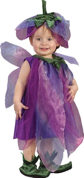 Sugar Plum Fairy Infant Costume In Stock About Costume Shop