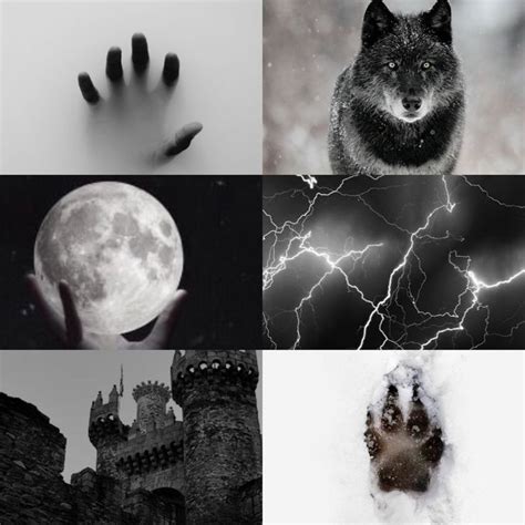 Black wolf aesthetic for @wolfyfifi :) (With images ...