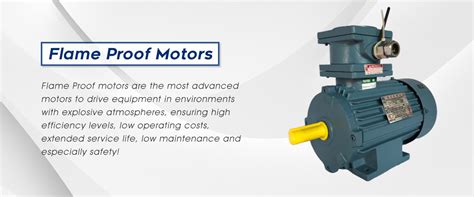 Flame Proof Motors Megha Roto Tech Pvt Ltd