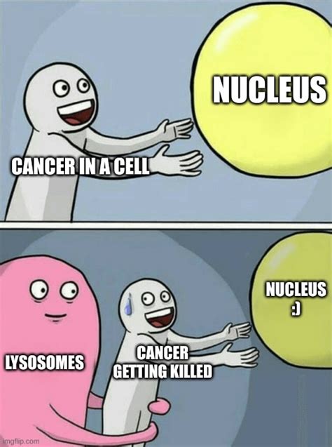 Science Meme Imgflip