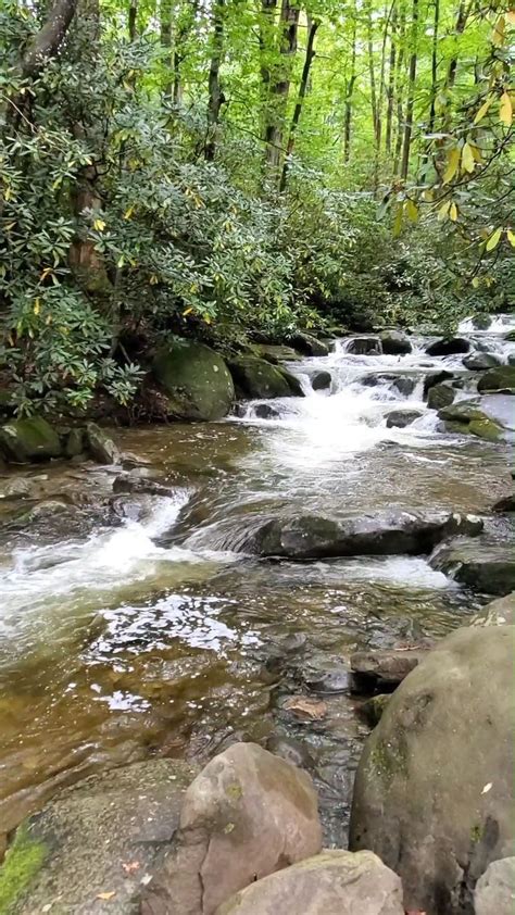 Hike To Hen Wallow Falls Cosby Tn Waterfalls Pics Gabes Mountain Trail