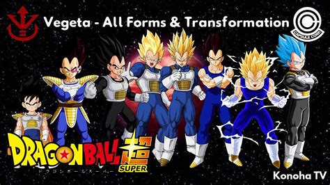 Vegeta All Forms And Transformations Dragon Ball Z Dragon Ball