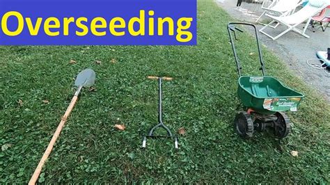 People have been overseeding their lawns long before they were invented, so don't. Overseeding Lawn in the Fall, Before and After Footage ...