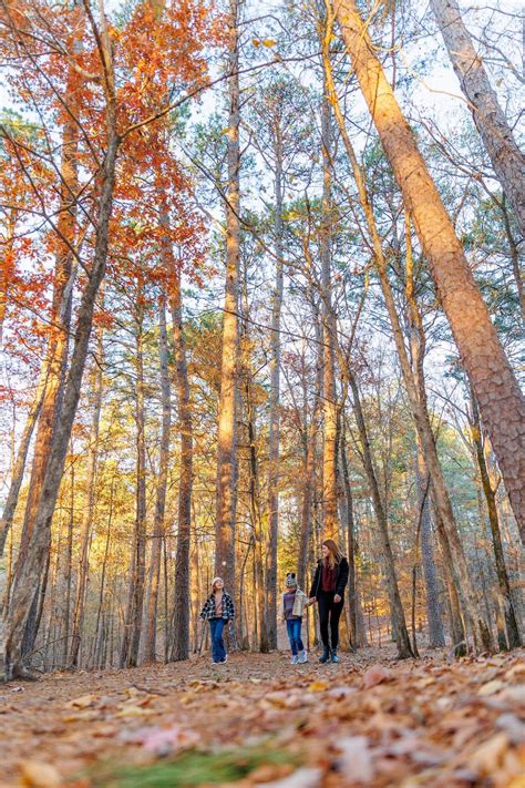 Beavers bend rv park hook ups – Artofit