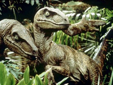 Image Jp Velociraptors Park Pedia Jurassic Park Dinosaurs