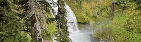 Lemolo Falls Trail 307 Reviews Map Oregon Alltrails