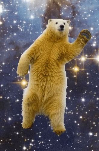 Bear Dancing GIF Bear Dancing Polar Bear Descobrir E Compartilhar GIFs