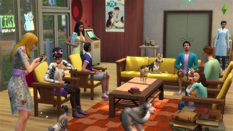 Sims 4 Veterinarian Cats And Dogs Recolor Opmmeeting
