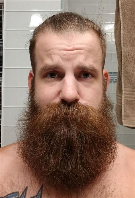 6 month update after going clean shaven bald men with beards bald with beard beard and