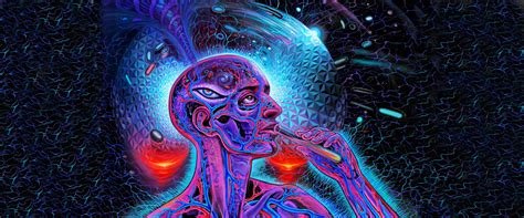It is used as a recreational psychedelic drug and prepared by various cultures for ritual purposes as an entheogen. Consumo De DMT Ayuda A Generar Nuevas Neuronas, Mejorar La ...