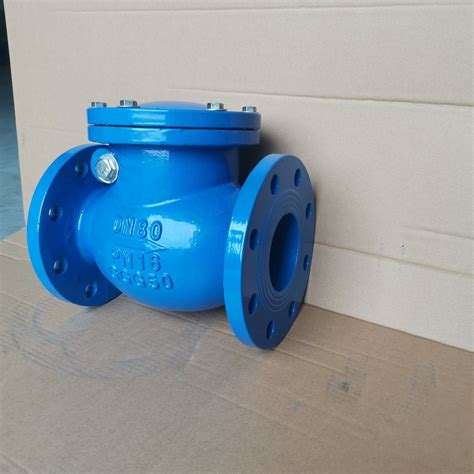 Din Pn16 Ductile Iron Double Flange Non Return Valve With Nbrepdm