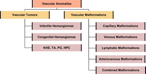 Figure From Cutaneous Vascular Lesions Semantic Scholar