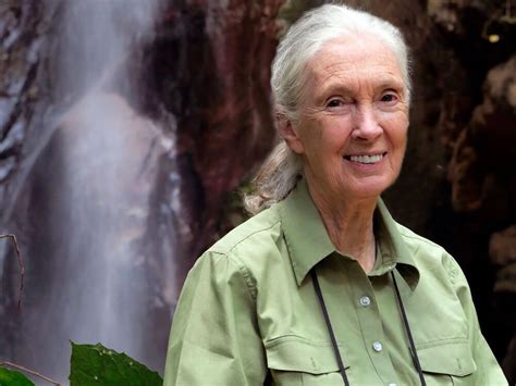 Goodall's four decades of advocacy work for chimpanzees and. "The Hope" Doctor Jane Goodall