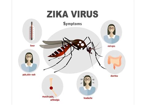 116 Confirmed Cases Of Zika In Us Residents In First Two Months Of Year Healthywomen