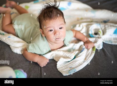 Adorable 2 Months Old Mixed Race Newborn Baby Boy Lying On His Tummy On