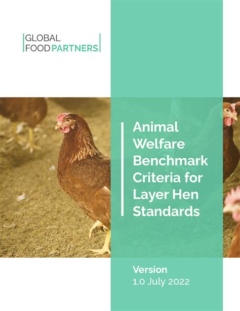 Gfps Animal Welfare Benchmark Criteria For Layer Hen Standards