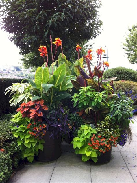 Backyard Container Garden Ideas Home And Garden Reference