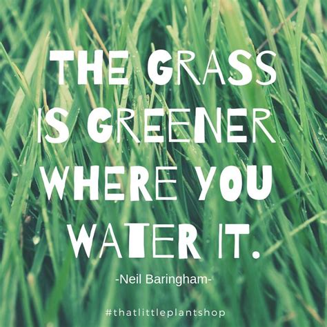 The Grass Is Greener Where You Water It Neil Baringham Watering Grass Grass Green