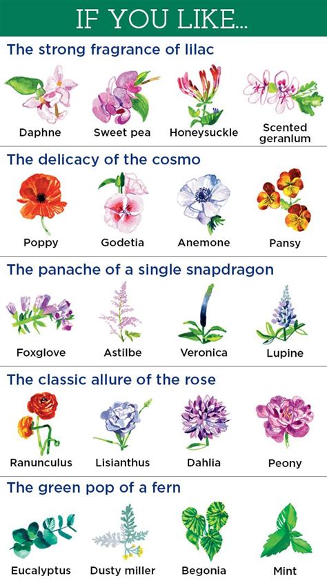 20 Most Fragrant Herbs Flowers For An Aromatic Garden Artofit